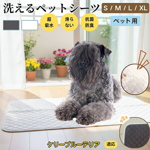 P[u[eA P[u[ ybg}bg 􂦂 h ybgV[c z  ΍ gC}bg L p }bg hL R ~ߕt ^ ^ ^ 