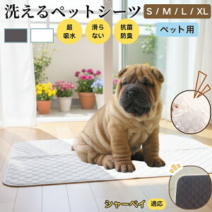 V[yC V[yC ybg}bg 􂦂 h ybgV[c z  ΍ gC}bg L p }bg hL R ~ߕt ^ ^ ^ p 