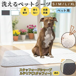 X^btH[hV[ueA X^u ybg}bg 􂦂 h ybgV[c z  ΍ gC}bg L p }bg hL R ~ߕt ^ ^ 