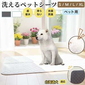 kC kC ybg}bg 􂦂 h ybgV[c z  ΍ gC}bg L p }bg hL R ~ߕt ^ ^ ^ p p}