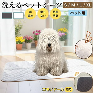 Rh[ Rh[ ybg}bg 􂦂 h ybgV[c z  ΍ gC}bg L p }bg hL R ~ߕt ^ ^ ^ p