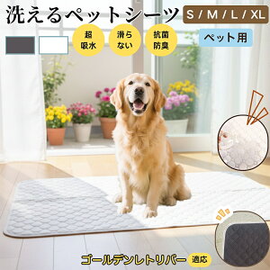 S[fgo[ S[f ybg}bg 􂦂 h ybgV[c z  ΍ gC}bg L p }bg hL R ~ߕt ^ ^ ^ 