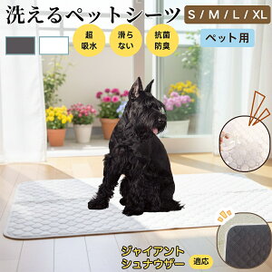 WCAgViEU[ WCAgVi ybg}bg 􂦂 h ybgV[c z  ΍ gC}bg L p }bg hL R ~ߕt ^ ^