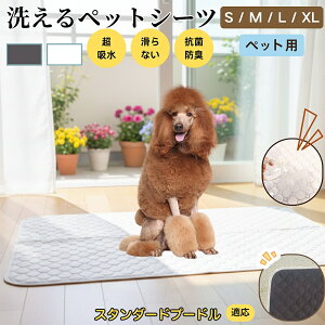 X^_[hv[h X^_[hv[ ybg}bg 􂦂 h ybgV[c z  ΍ gC}bg L p }bg hL R ~ߕt ^ ^ ^