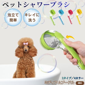 ~fBAv[h ~fBAv[ Vv[ ybguV  L Ao VR Vv[uV }bT[W ь ыʏ  ђZёΉ sg ~ 