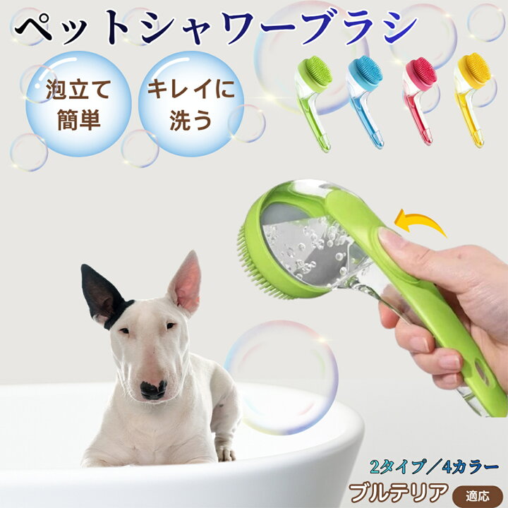 楽天市場】【5倍ポイント】 ミニチュアブルテリア犬 ミニブル 