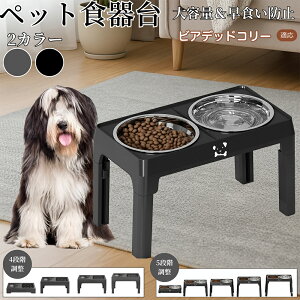 y5{|CgzrAfbhR[ rAfbh ybg t[h{EX^h  Lp H  a   ܂肽ݎ[ Hh~ Hׂ₷ 􂢂₷ ~ߕt 