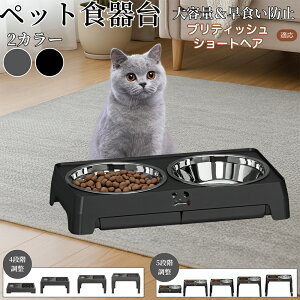 y5{|CgzueBbVV[gwAL uV ybg t[h{EX^h  Lp H  a   ܂肽ݎ[ Hh~ Hׂ₷ 􂢂₷ 