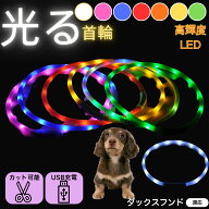 【5倍ポイント】 ダックスフンド犬種 ダックス ペット用 光る首輪 犬 猫 LEDライト USB充電 レインボー発…