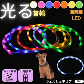 【5倍ポイント】 ウェルシュテリア犬 ウェルシュ ペット用 光る首輪 犬 猫 LEDライト USB充電 レインボー発光 7色切替 夜間散歩 事故防止 防水仕様 柔らか素材 痛くない 首輪 小型犬 中型犬 大型犬 調節可能 ナイトウォークライト