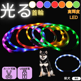 【5倍ポイント】 柴犬種 柴 ペット用 光る首輪 犬 猫 LEDライト USB充電 レインボー発光 7色切替 夜間散歩 事故防止 防水仕様 柔らか素材 痛くない 首輪 小型犬 中型犬 大型犬 調節可能 ナイトウォークライト