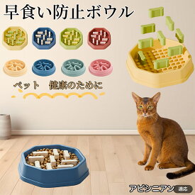 アビシニアン猫 アビ