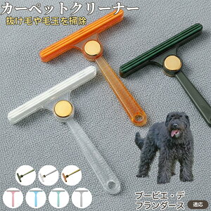 y5{|Cgzu[rGft_[X u[rG юN[i[ ʃuV ߗޗp ыʎ ybgё΍ \t@ J[ybg ѕzp pN[i[ ÓdCh~dl gѕ֗