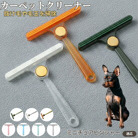 【5倍ポイント】 ミニチュアピンシャー犬 ミニピン 毛取りクリーナー 両面ブラシ 衣類用 毛玉取り器 ペット抜け毛対策 ソファ カーペット 毛布用 服用クリーナー 静電気防止仕様 携帯便利 毛取りグッズ
