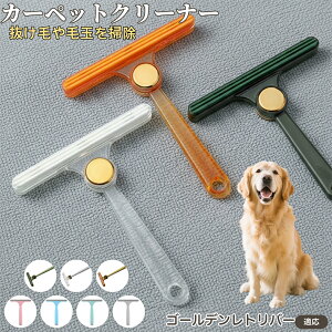 y5{|CgzS[fgo[ S[f юN[i[ ʃuV ߗޗp ыʎ ybgё΍ \t@ J[ybg ѕzp pN[i[ ÓdCh~dl gѕ֗