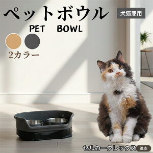 �y5�{�|�C���g�z�Z���J�[�N���b�N�X�L �Z���J�[�N���L���p �y�b�g�{�E�� �_�u���^�C�v �X�e�����X�H�� �����{�E�� �t�[�h�{�E�� ���юM �a�M ���p �L�p �y�b�g�p�H�� �Z�p���[�g�\�� ��