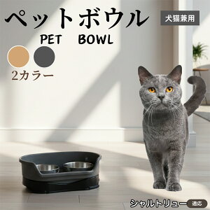 y5{|CgzVg[L Vg[Lp ybg{E _u^Cv XeXH {E t[h{E юM aM p Lp ybgpH Zp[g\ 