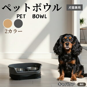 �y5�{�|�C���g�z�L���o���A�L���O�`���[���Y�X�p�j�G�������L���p �y�b�g�{�E�� �_�u���^�C�v �X�e�����X�H�� �����{�E�� �t�[�h�{�E�� ���юM �a�M ���p �L�p �y�b�g�p�H�� �Z�p���[�g�\