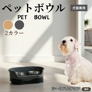 y5{|CgzV[neA V[nLp ybg{E _u^Cv XeXH {E t[h{E юM aM p Lp ybgpH Zp[g\ 􂢂