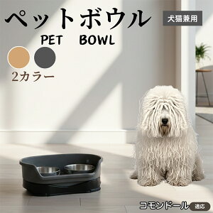 �y5�{�|�C���g�z�R�����h�[���� �R�����h�[�����L���p �y�b�g�{�E�� �_�u���^�C�v �X�e�����X�H�� �����{�E�� �t�[�h�{�E�� ���юM �a�M ���p �L�p �y�b�g�p�H�� �Z�p���[�g�\�� �􂢂₷