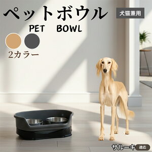 y5{|CgzT[L T[LLp ybg{E _u^Cv XeXH {E t[h{E юM aM p Lp ybgpH Zp[g\ 􂢂₷ ϋv