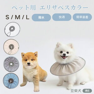 y5{|CgzČ  ybg GUxXJ[  L \tgJ[ hH rߖh~ pPApi ی ybgŌ LpPAObY yʂ炩݌v pybg