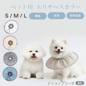 rVt[[ rV ybg GUxXJ[  L \tgJ[ hH rߖh~ pPApi ی ybgŌ LpPAObY yʂ炩݌v pybg