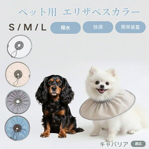 �y5�{�|�C���g�z�L���o���A�L���O�`���[���Y�X�p�j�G���� �y�b�g �G���U�x�X�J���[ �� �L �\�t�g�J���[ �h�����H ���r�ߖh�~ �p��P�A�p�i �����ی� �y�b�g�Ō� ���L�p�P�A�O�b�Y �y�ʂ��