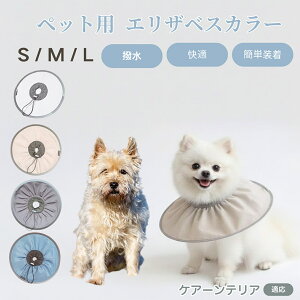 PA[eA PA[ ybg GUxXJ[  L \tgJ[ hH rߖh~ pPApi ی ybgŌ LpPAObY yʂ炩݌v pybg