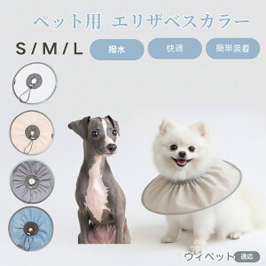 EBybg EBybg ybg GUxXJ[  L \tgJ[ hH rߖh~ pPApi ی ybgŌ LpPAObY yʂ炩݌v pybg