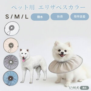 IB IB ybg GUxXJ[  L \tgJ[ hH rߖh~ pPApi ی ybgŌ LpPAObY yʂ炩݌v pybg