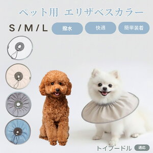 gCv[h gCv[ ybg GUxXJ[  L \tgJ[ hH rߖh~ pPApi ی ybgŌ LpPAObY yʂ炩݌v pybg