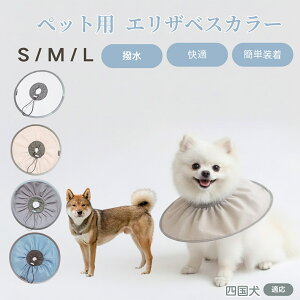 y5{|Cgzl l ybg GUxXJ[  L \tgJ[ hH rߖh~ pPApi ی ybgŌ LpPAObY yʂ炩݌v pybg