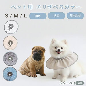 V[yC V[yC ybg GUxXJ[  L \tgJ[ hH rߖh~ pPApi ی ybgŌ LpPAObY yʂ炩݌v pybg