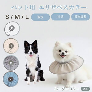 {[_[R[ {[_[ ybg GUxXJ[  L \tgJ[ hH rߖh~ pPApi ی ybgŌ LpPAObY yʂ炩݌v pybg