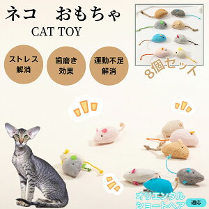 IG^V[gwAL IV Lp ˂݃gC ӂӂf 8 qL LOK Vѓ p ^s΍ XgXPA Ή Lpi LObY ʂ݃g