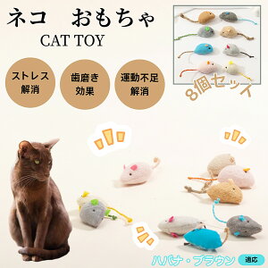 noiuEL noi Lp ˂݃gC ӂӂf 8 qL LOK Vѓ p ^s΍ XgXPA Ή Lpi LObY ʂ݃gC