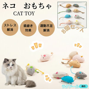 Oh[L O Lp ˂݃gC ӂӂf 8 qL LOK Vѓ p ^s΍ XgXPA Ή Lpi LObY ʂ݃gC