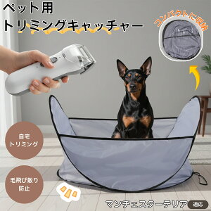 y5{|Cgz}`FX^[eA }`F ybgєюUh~}bg  L p уLb` g~OV[g Jbg ܂肽ݎ O[~O}bg ъ΍ ybg