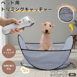 y5{|CgzC[tHbNXeA C[ ybgєюUh~}bg  L p уLb` g~OV[g Jbg ܂肽ݎ O[~O}bg ъ΍ y