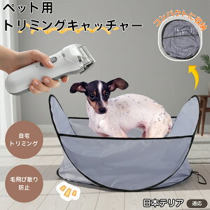 y5{|Cgz{eA {e ybgєюUh~}bg  L p уLb` g~OV[g Jbg ܂肽ݎ O[~O}bg ъ΍ ybgp