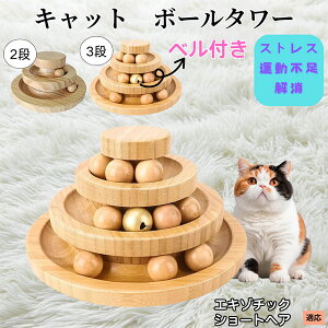 �G�L�]�`�b�N�V���[�g�w�A�L �G�L�] �L���b�g�{�[���^���[ �L�������� ���w��]�{�[�� �V�R�|�� �m��ߋ� �^���s������ �X�g���X���U �����V�� �q�L ���L ������������ �L�^���[��������