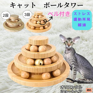 �I���G���^���V���[�g�w�A�L �I���V�� �L���b�g�{�[���^���[ �L�������� ���w��]�{�[�� �V�R�|�� �m��ߋ� �^���s������ �X�g���X���U �����V�� �q�L ���L ������������ �L�^���[��������