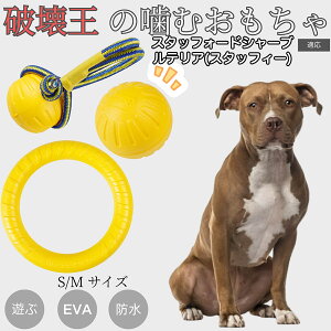 X^btH[hV[ueA X^u  jɋ EVAO {[  ݂ XgXU ^p ybgߋ ɕ y ^ ^ ^Ή h[ic^