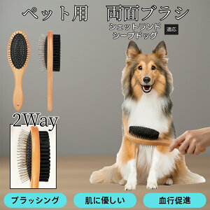 VFbghV[vhbO VFeB ybgpʃuV ؐ Lp ю XbJ[uVR[ g~OuV ю Zю юΉ ѕ݃PA 畆PA O[