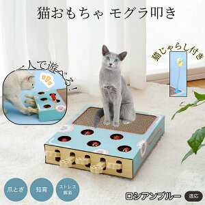 �y5�{�|�C���g�z���V�A���u���[�L ���V�A�� �L�������� ������@�����L����炵��̌^�X�N���b�`���[ �܂Ƃ� �_���{�[���L�܂Ƃ� ��яo���l�Y�~ �ЂƂ�V��OK �����L�^���s������ ������