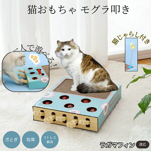 �y5�{�|�C���g�z���K�}�t�B���L ���K�}�t�B�� �L�������� ������@�����L����炵��̌^�X�N���b�`���[ �܂Ƃ� �_���{�[���L�܂Ƃ� ��яo���l�Y�~ �ЂƂ�V��OK �����L�^���s������ ����