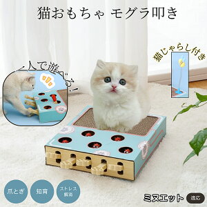 �y5�{�|�C���g�z�~�k�G�b�g�L�� �~�k�G �L�������� ������@�����L����炵��̌^�X�N���b�`���[ �܂Ƃ� �_���{�[���L�܂Ƃ� ��яo���l�Y�~ �ЂƂ�V��OK �����L�^���s������ ���������p