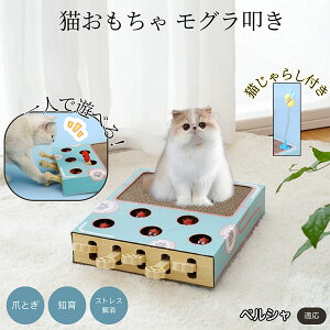 �y5�{�|�C���g�z�y���V���L�� �y���V�� �L�������� ������@�����L����炵��̌^�X�N���b�`���[ �܂Ƃ� �_���{�[���L�܂Ƃ� ��яo���l�Y�~ �ЂƂ�V��OK �����L�^���s������ ���������p