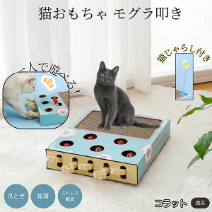 �y5�{�|�C���g�z�R���b�g�L�� �R���b�g �L�������� ������@�����L����炵��̌^�X�N���b�`���[ �܂Ƃ� �_���{�[���L�܂Ƃ� ��яo���l�Y�~ �ЂƂ�V��OK �����L�^���s������ ���������p